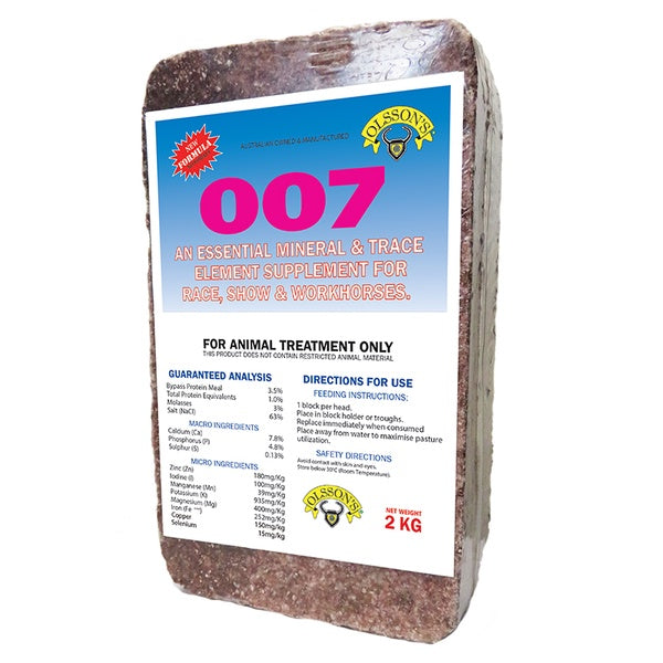007 Olsson Horse Block 20kg - Salt Licks and Blocks