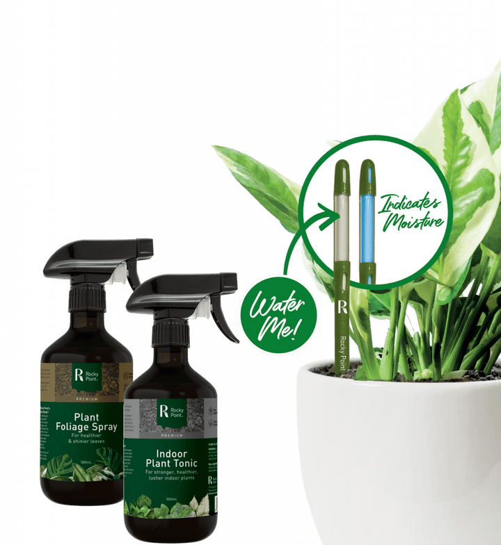 Premium - Rocky Point 3 Item Gift Pack - Rocky Point - RP - IPCP3