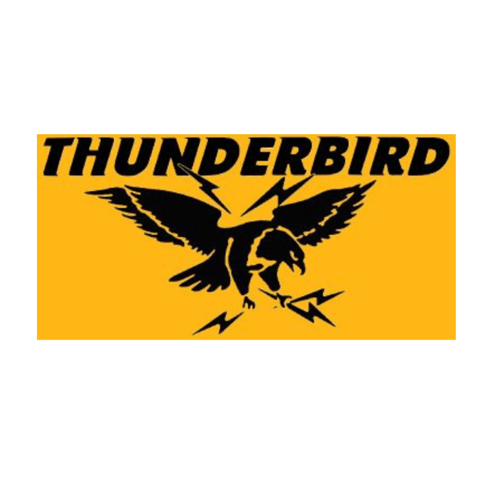 AC Adaptor 2.5mm 18V - Thunderbird - CHG - 102