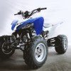 Mustang Evo 2 250cc - Crossfire - Mustang 250 Evo2