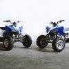 Mustang Evo 2 250cc - Crossfire - Mustang 250 Evo3